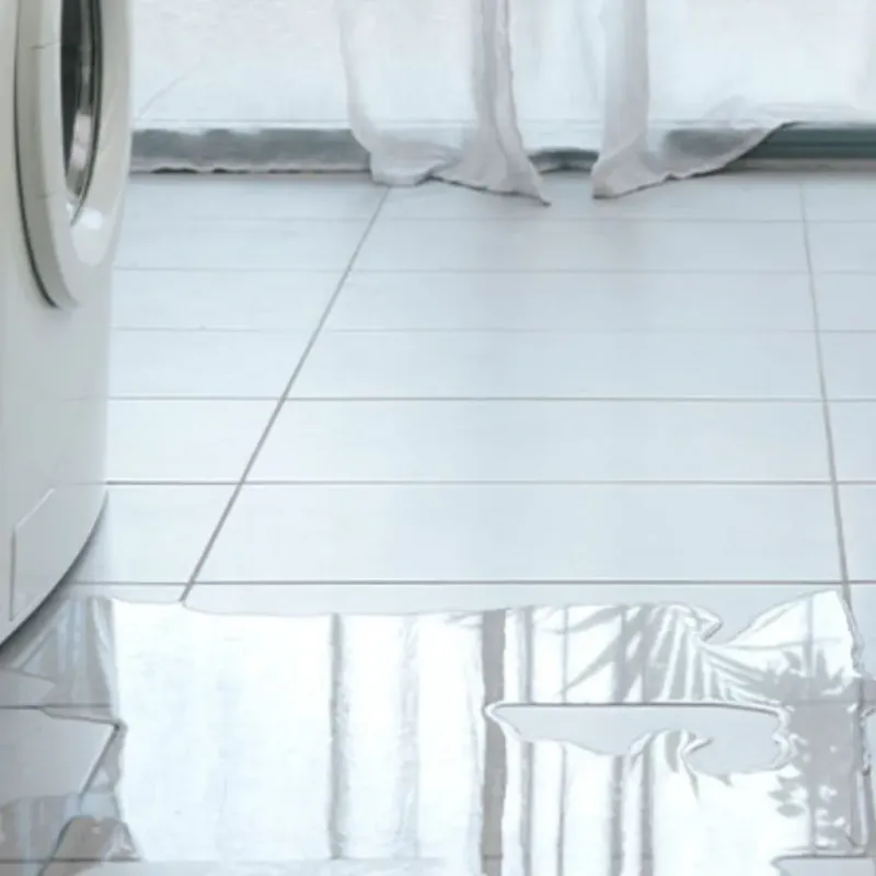 Appliance Leak Cleanup in Greenbrier, AR