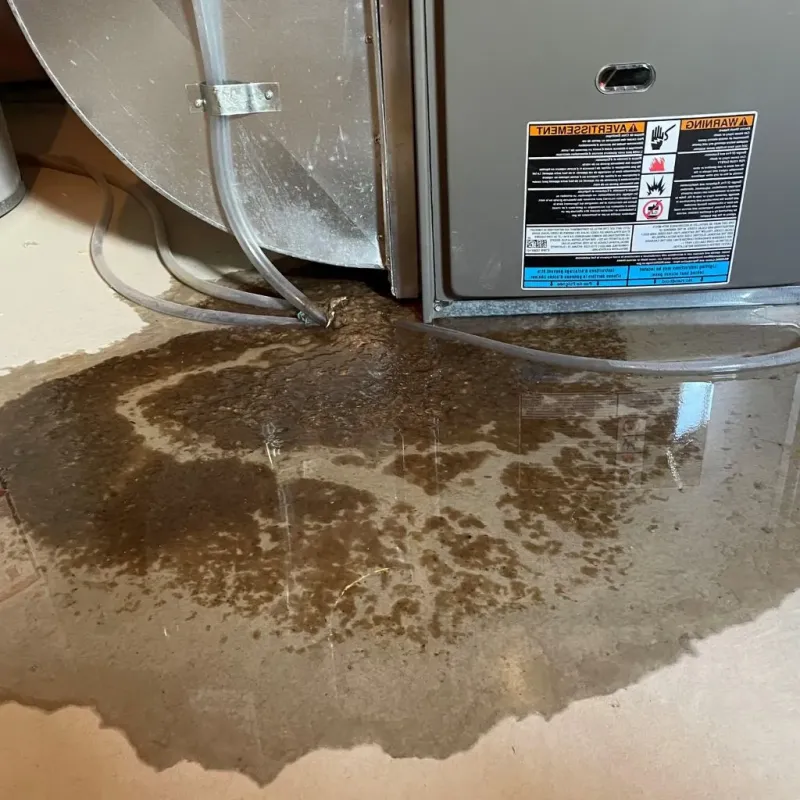 Pipe Burst and Leak Restoration in Greenbrier, AR
